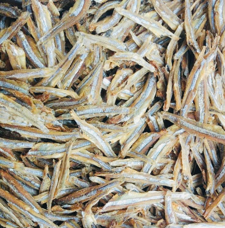 MTG မင်းသားကြီး ငါးနီတူခြောက်